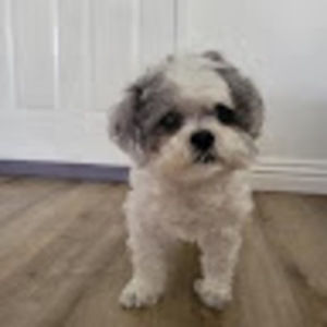 Meet your Posher, Pam